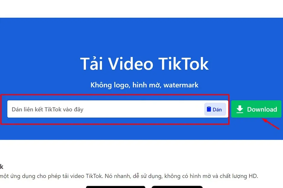 Chi tiết 6 cách tải video TikTok trên máy tính đơn giản, nhanh chóng và hiệu quả