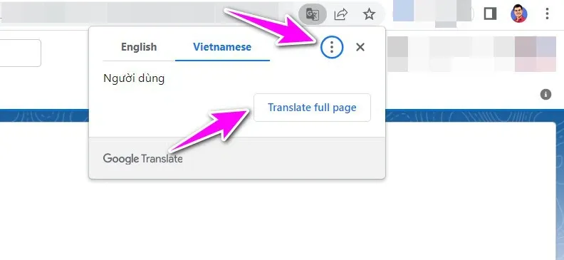 Chia sẻ cách dịch phần văn bản được chọn từ ngôn ngữ bất kỳ sang tiếng Việt trên Chrome không cần tiện ích