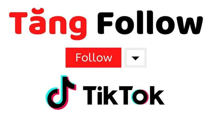 Có nên dùng các dịch vụ TikTok trên thị trường hiện nay hay không?