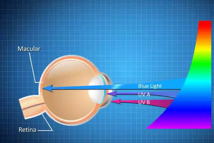 Công nghệ Low Blue Light là gì, những đặc điểm vượt trội của công nghệ Low Blue Light