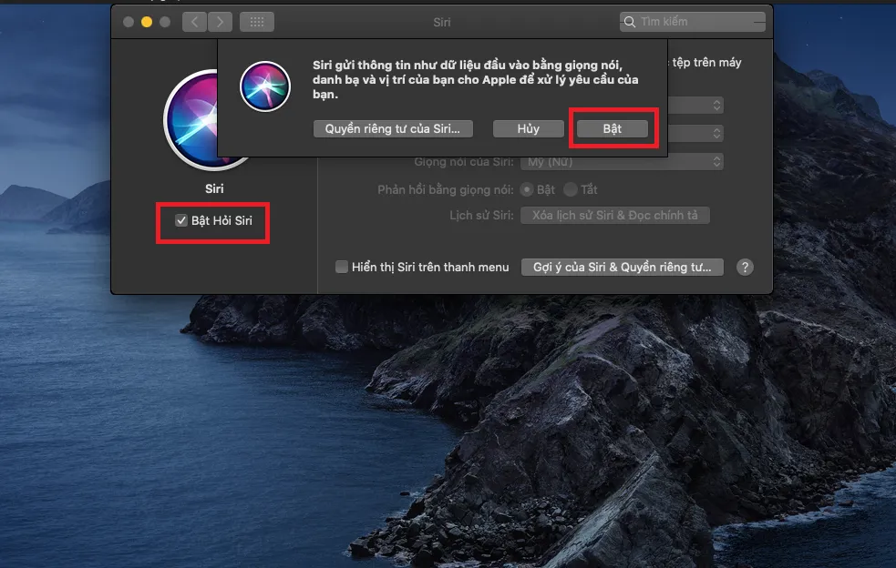 Đây là cách thay đổi giọng nói và ngôn ngữ của Siri trên MacOS