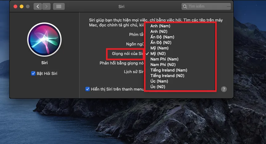 Đây là cách thay đổi giọng nói và ngôn ngữ của Siri trên MacOS