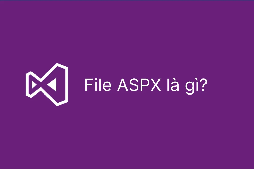 File ASPX là gì? Cách mở file ASPX dễ dàng nhất