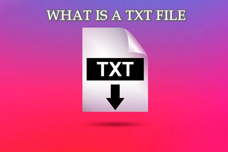 File TXT là gì? Cách mở, chuyển đổi và tạo file TXT khi cần