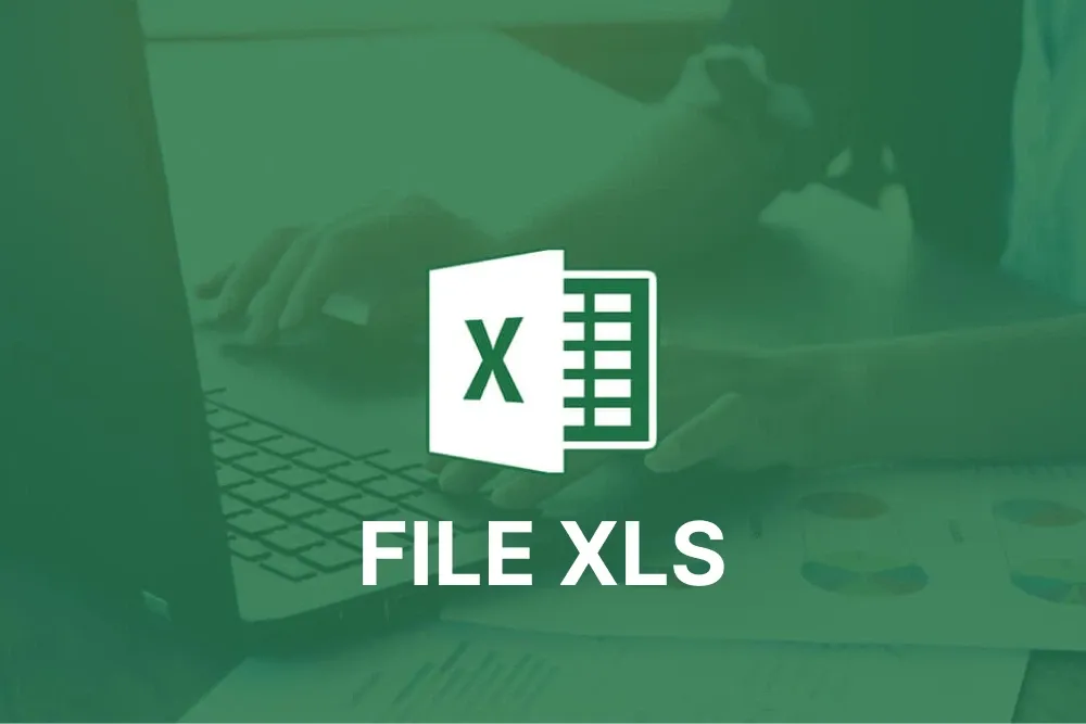 File XLS là gì? So sánh File XLS và XLSX có gì khác nhau?