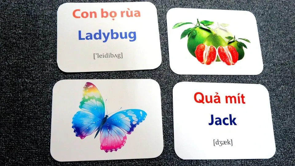 Flashcard là gì? Cách sử dụng Flashcard để học tập một cách đơn giản và hiệu quả