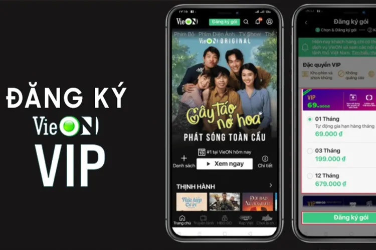 Gói VIP VieON là gì? Hướng dẫn chi tiết các bước đăng ký gói VIP VieON