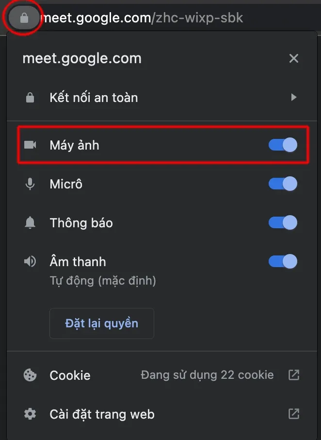 Google Meet không mở được camera và cách sửa lỗi cực dễ