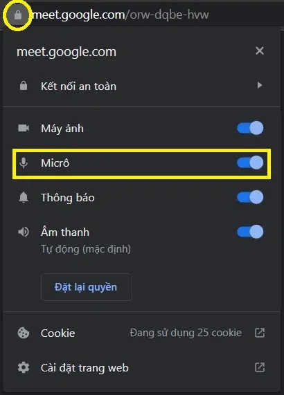 Google Meet không nhận mic và cách sửa cực dễ