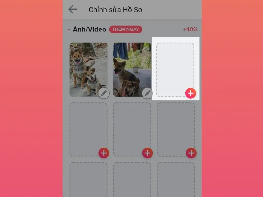 Hướng dẫn bạn cách đăng ký Tinder và cách thiết lập tài khoản mà người dùng mới nên biết