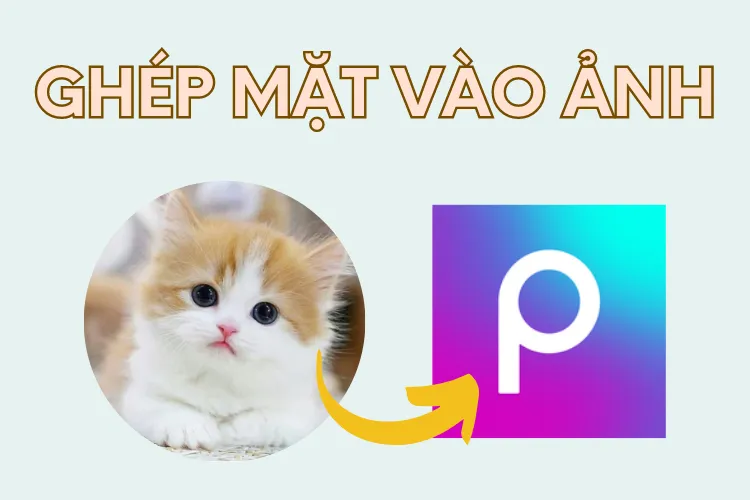 Hướng dẫn bạn cách ghép mặt vào ảnh bằng Picsart cực dễ