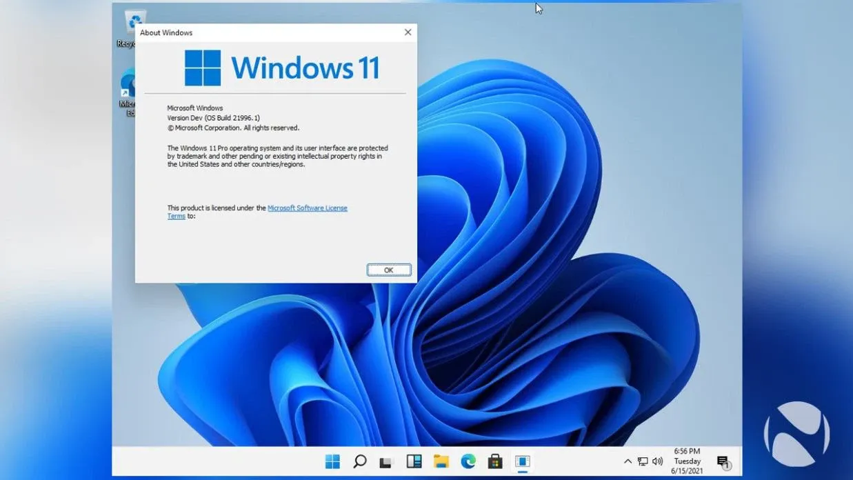 Hướng dẫn bạn cách tải và cài đặt Windows 11 ISO