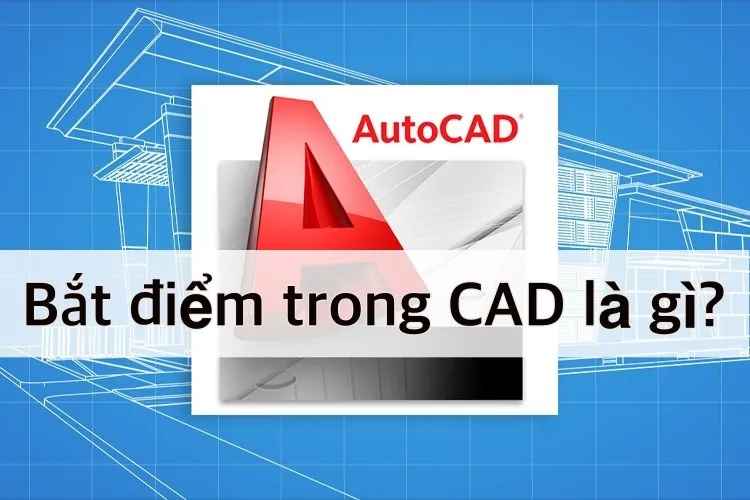 Hướng dẫn bắt điểm trong CAD chuẩn không cần chỉnh dành cho newbie