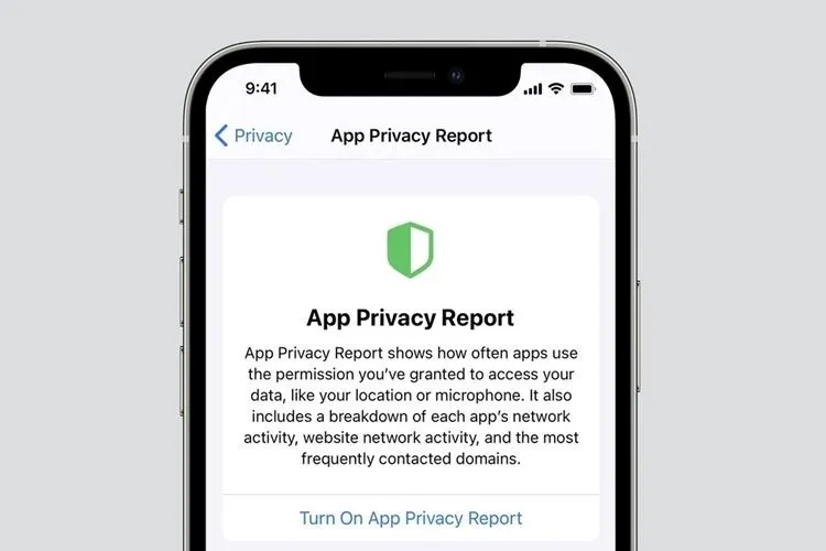 Hướng dẫn cách bật báo cáo bảo mật ứng dụng trên iPhone vô cùng cần thiết