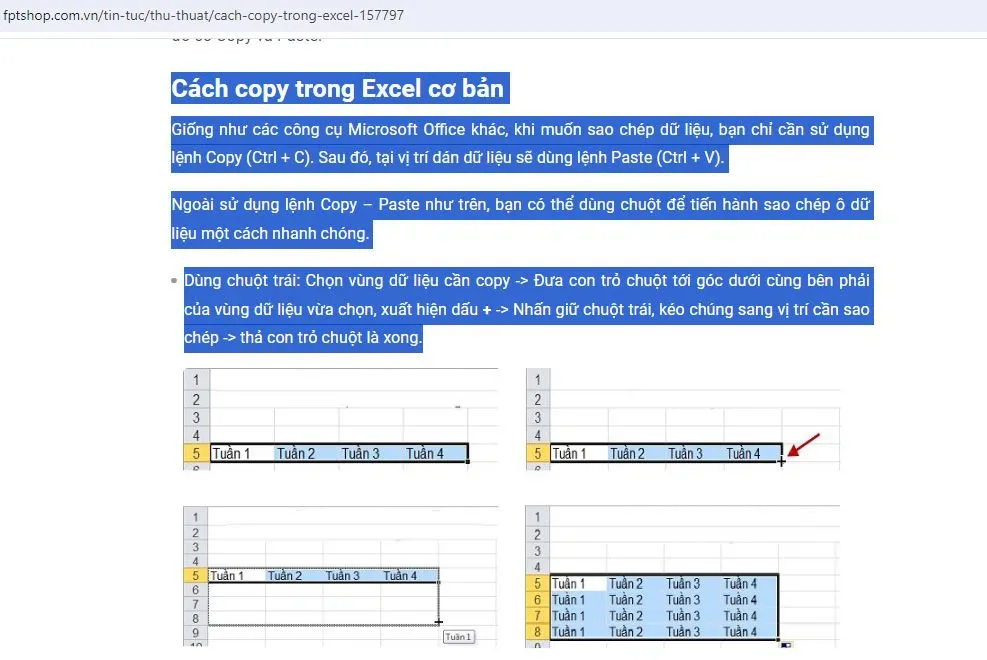 Hướng dẫn cách copy nhiều lần trong Word 2024 vô cùng thuận tiện và nhanh chóng