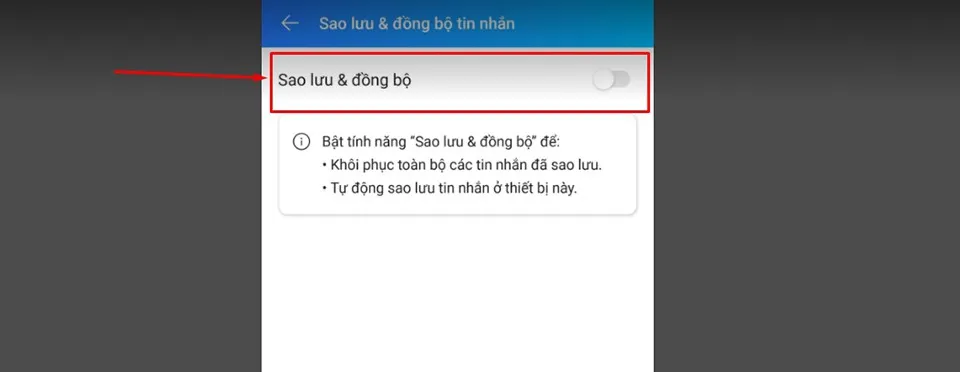 Hướng dẫn cách đồng bộ và sao lưu tin nhắn Zalo trên điện thoại