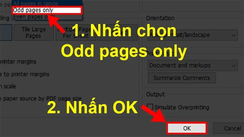 Hướng dẫn cách in 2 mặt file PDF, WORD, EXCEL nhanh nhất