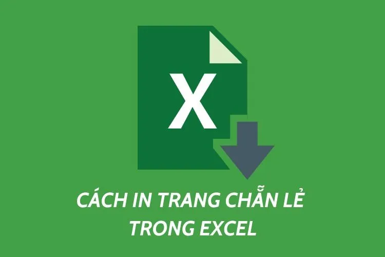 Hướng dẫn cách in trang chẵn lẻ trong Excel cực đơn giản