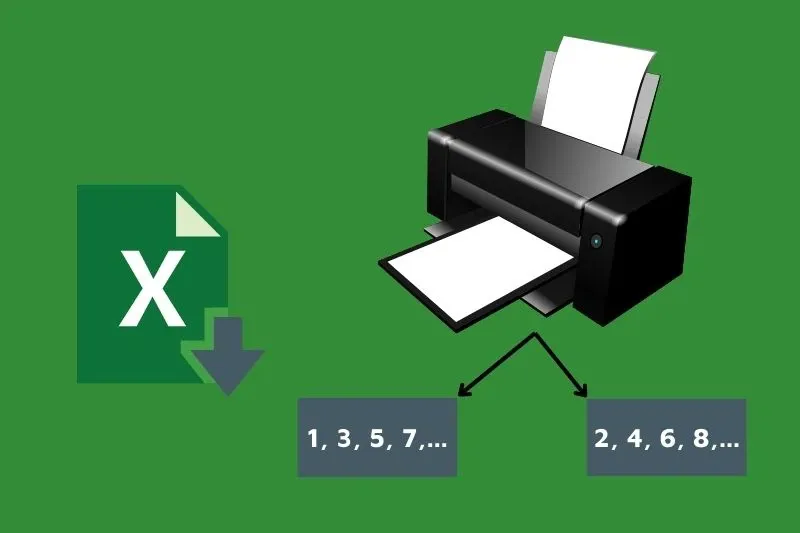 Hướng dẫn cách in trang chẵn lẻ trong Excel cực đơn giản
