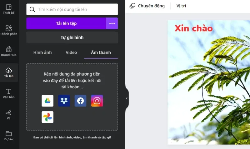 Hướng dẫn cách làm video trên Canva chi tiết, thành công 100%