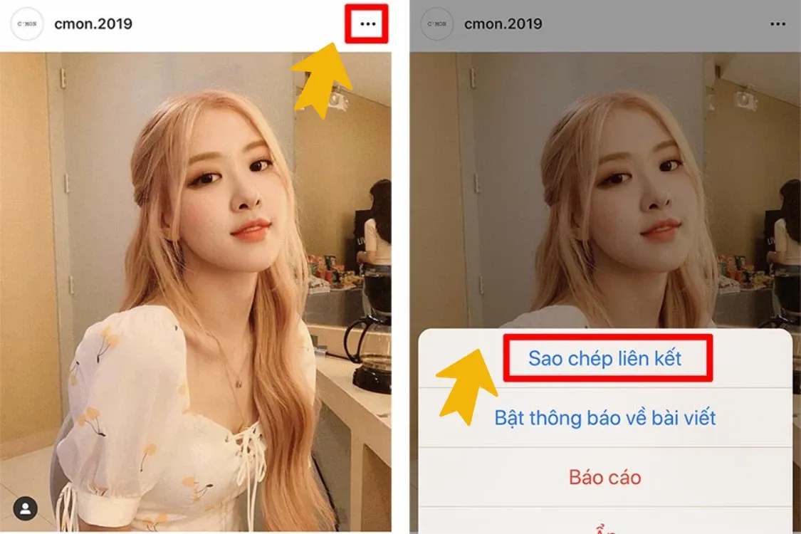 Hướng dẫn cách tải ảnh Instagram về máy tính chất lượng cao, nhanh nhất bạn nên biết