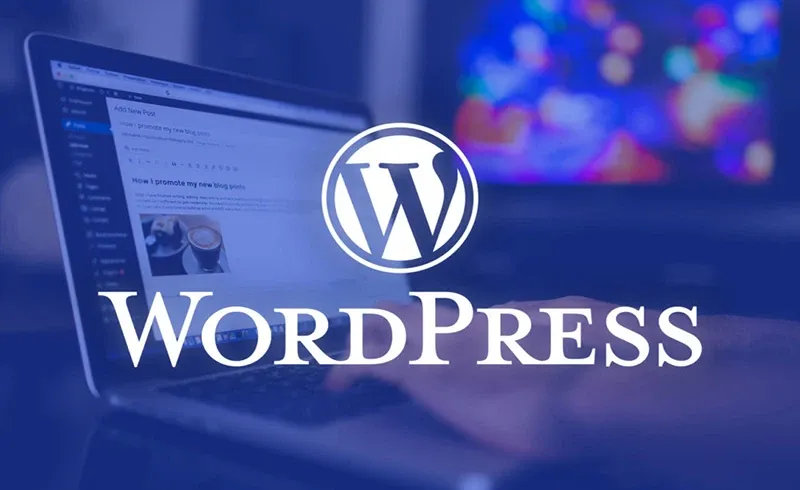 Hướng dẫn cách tắt bình luận WordPress chi tiết, đơn giản, có thể bạn chưa biết