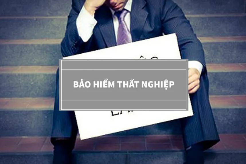 Hướng dẫn cách xem thông tin và cách tra cứu bảo hiểm thất nghiệp 116 nhanh nhất, chính xác nhất