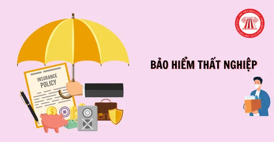 Hướng dẫn cách xem thông tin và cách tra cứu bảo hiểm thất nghiệp 116 nhanh nhất, chính xác nhất