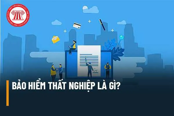 Hướng dẫn cách xem thông tin và cách tra cứu bảo hiểm thất nghiệp 116 nhanh nhất, chính xác nhất