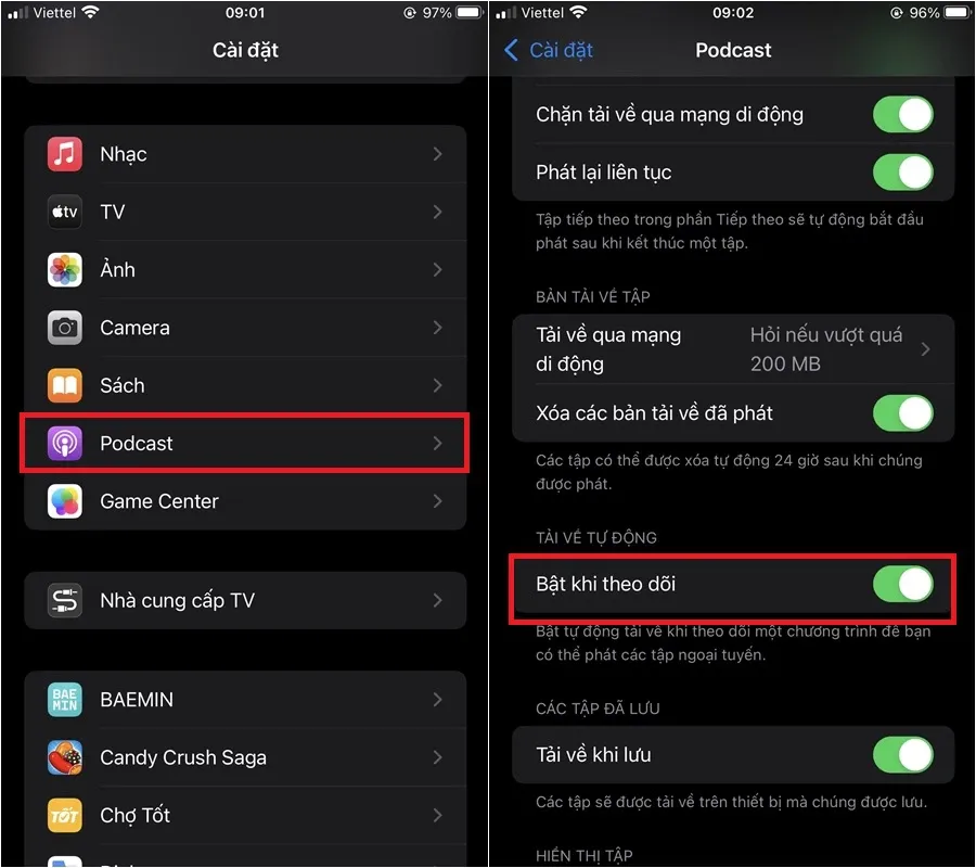 Hướng dẫn cách xóa, chặn tải xuống podcast tự động trên iPhone