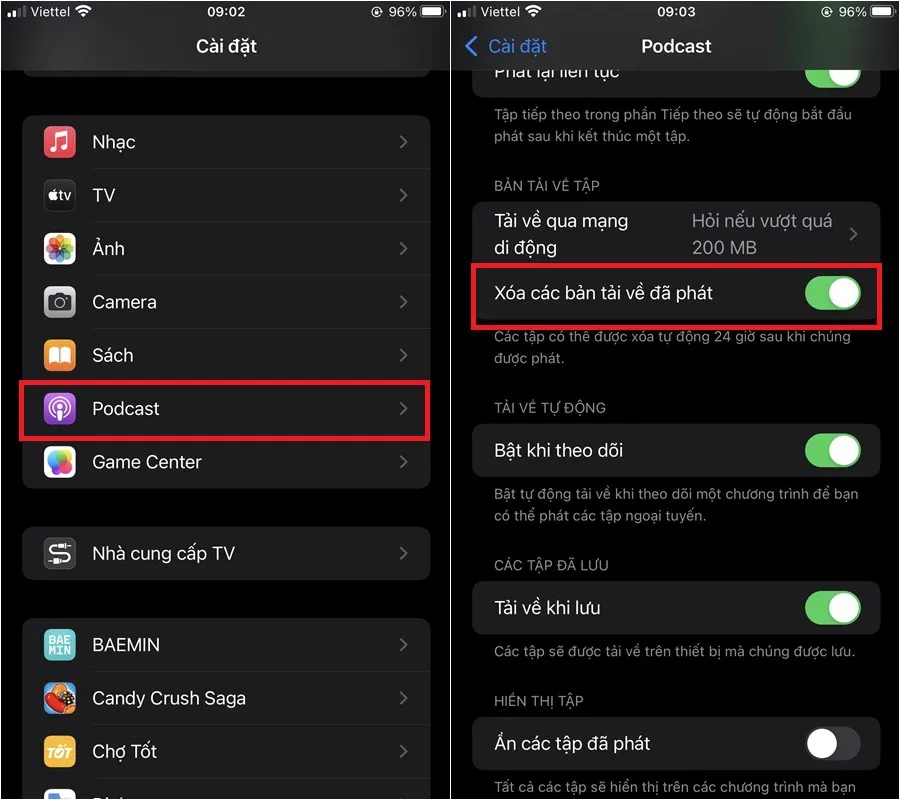 Hướng dẫn cách xóa, chặn tải xuống podcast tự động trên iPhone