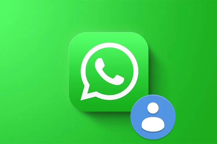 Hướng dẫn cập nhật ảnh đại diện WhatsApp đơn giản, nhanh chóng