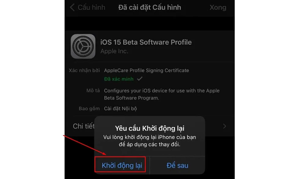 Hướng dẫn cập nhật iOS 15 beta cho iPhone