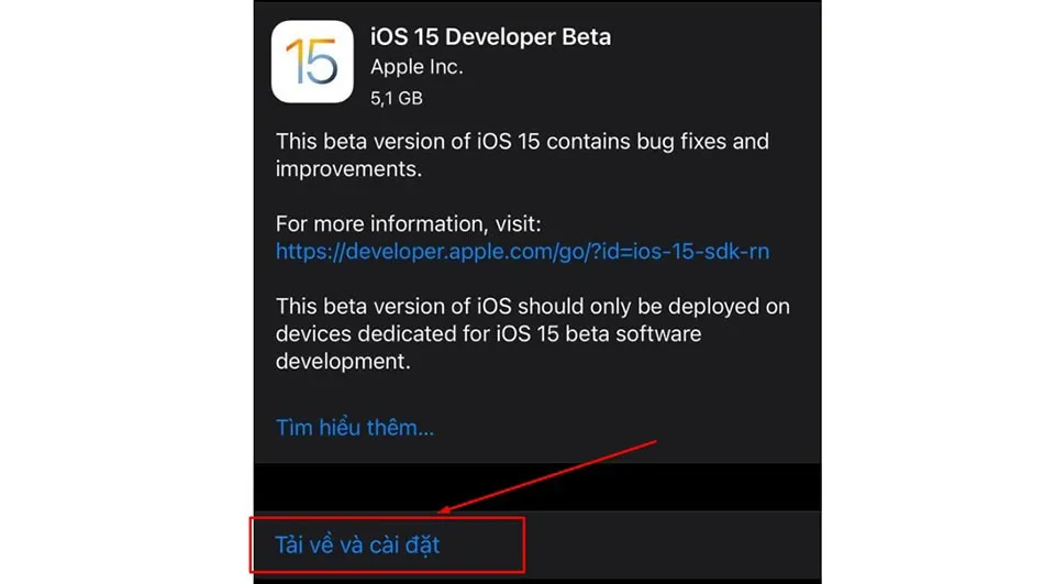 Hướng dẫn cập nhật iOS 15 beta cho iPhone