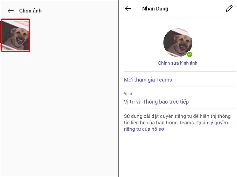 Hướng dẫn cập nhật, thay đổi ảnh đại diện Microsoft Teams một cách nhanh chóng