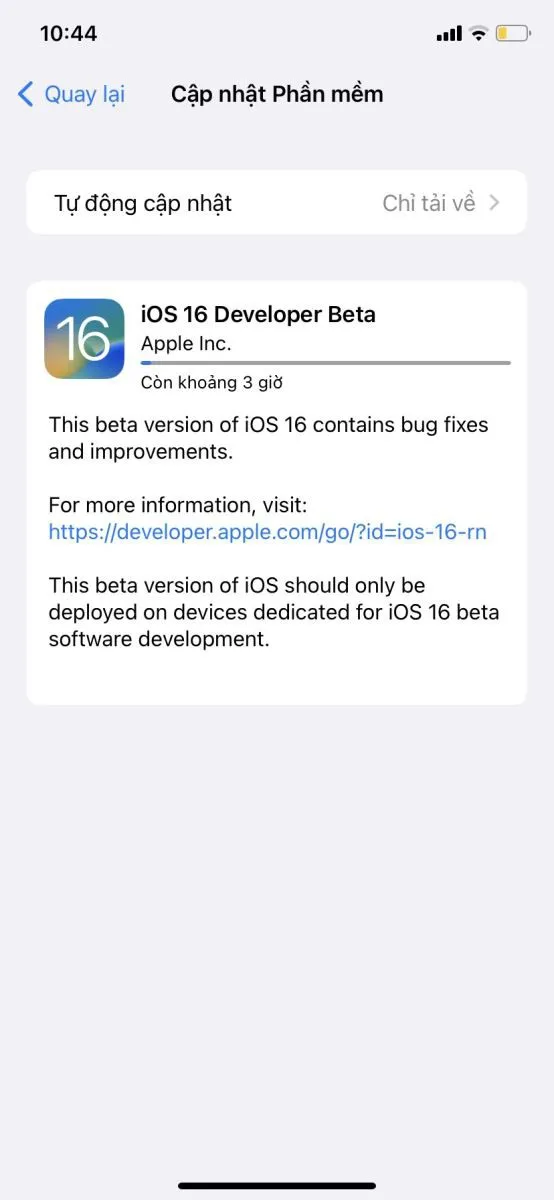 Hướng dẫn chi tiết cập nhật iOS 16 beta 1 cho iPhone