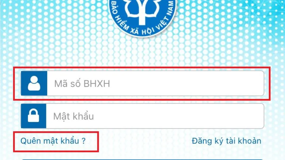 Hướng dẫn cực chi tiết các cách lấy lại mật khẩu VssID vô cùng đơn giản, nhanh chóng