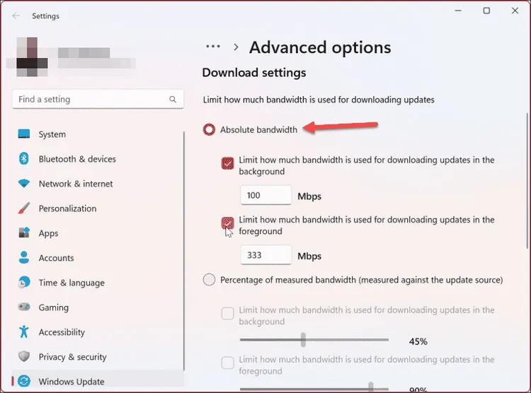 Hướng dẫn giới hạn băng thông khi cập nhật Windows 11