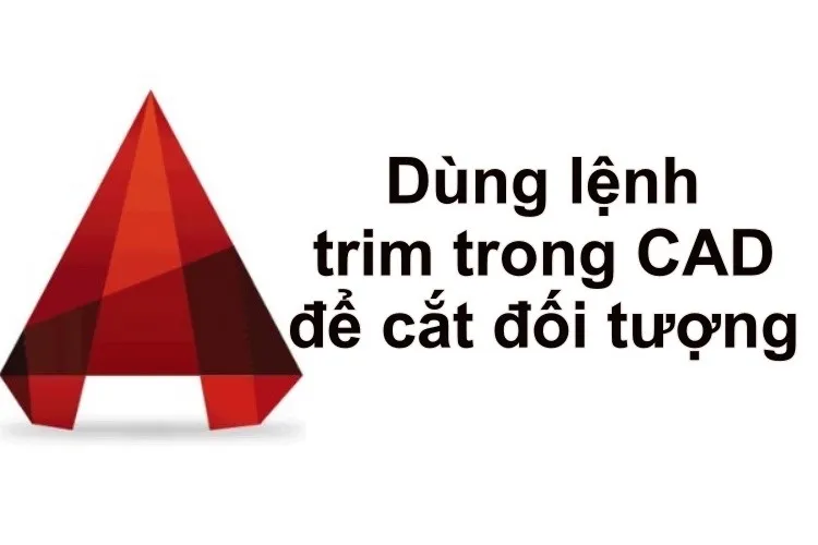 Hướng dẫn sử dụng lệnh trim trong CAD để cắt đối tượng dễ dàng