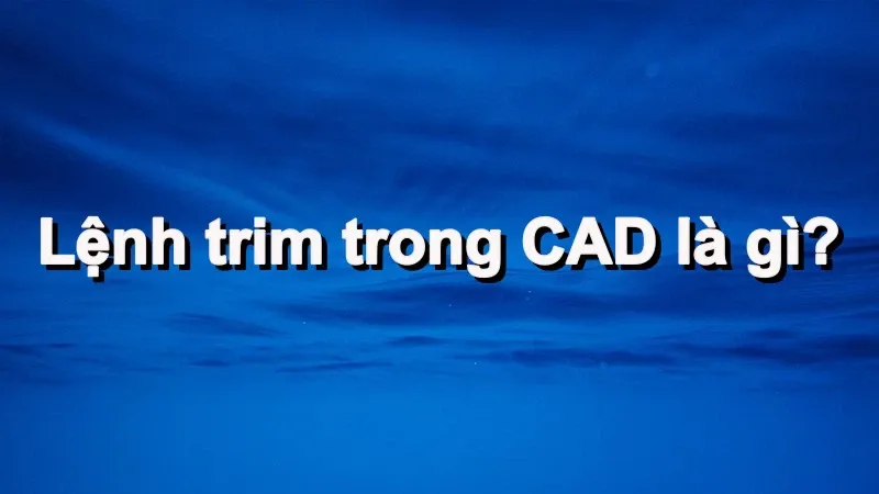 Hướng dẫn sử dụng lệnh trim trong CAD để cắt đối tượng dễ dàng