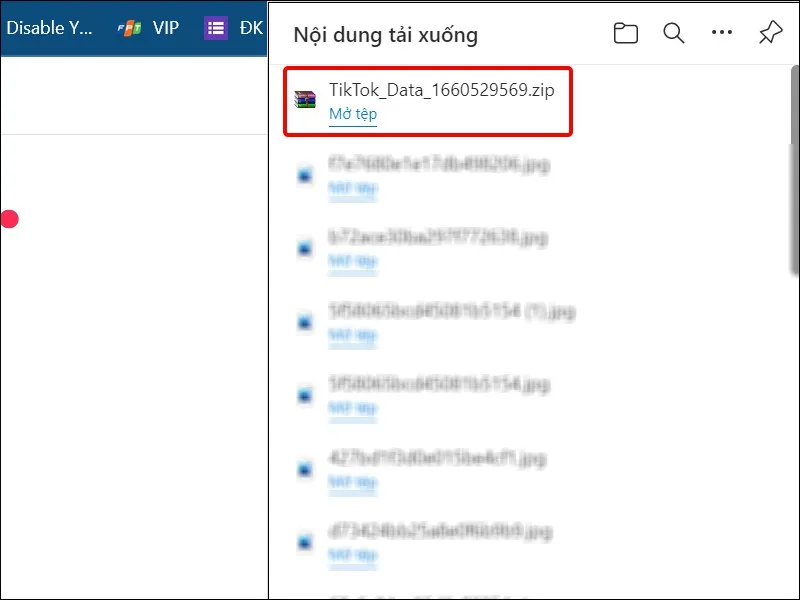 Hướng dẫn tải toàn bộ dữ liệu TikTok về điện điện thoại, máy tính một cách đơn giản