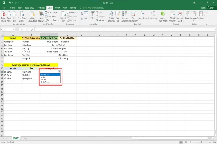 Hướng dẫn tạo lựa chọn trong Excel đơn giản và chi tiết nhất