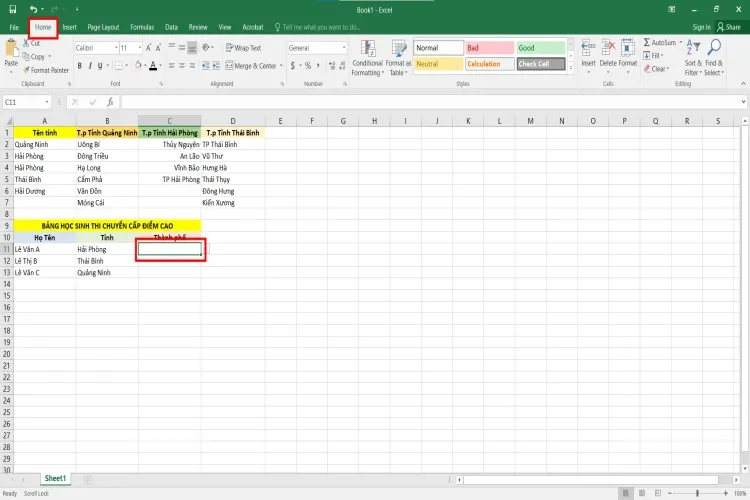 Hướng dẫn tạo lựa chọn trong Excel đơn giản và chi tiết nhất