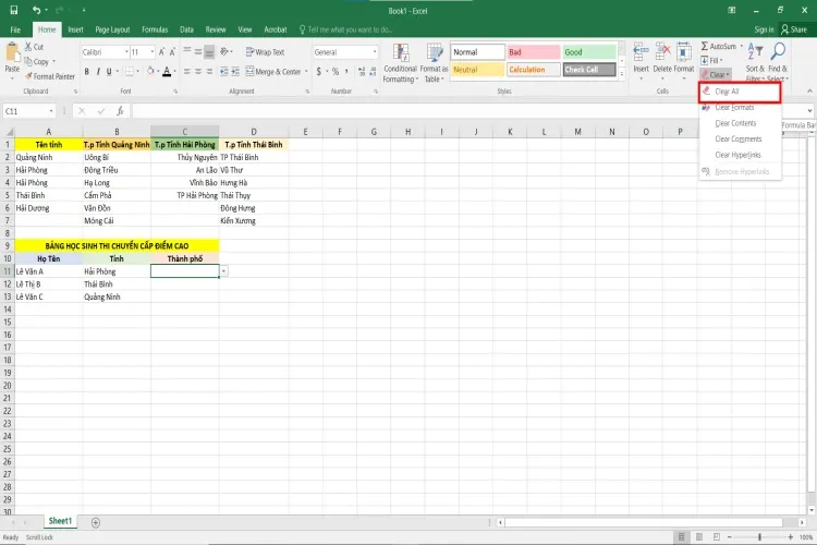 Hướng dẫn tạo lựa chọn trong Excel đơn giản và chi tiết nhất