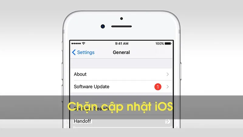 Hướng dẫn tắt cập nhật iOS trên iPhone/iPad vĩnh viễn chỉ trong 2 phút