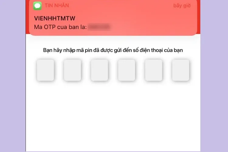 Hướng dẫn tra cứu thông tin hiến máu online trên app Hiến máu nhanh chóng và chuẩn xác