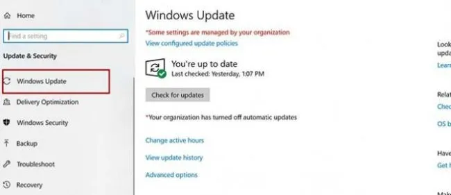 Hướng dẫn update Windows 10 lên bản mới nhất