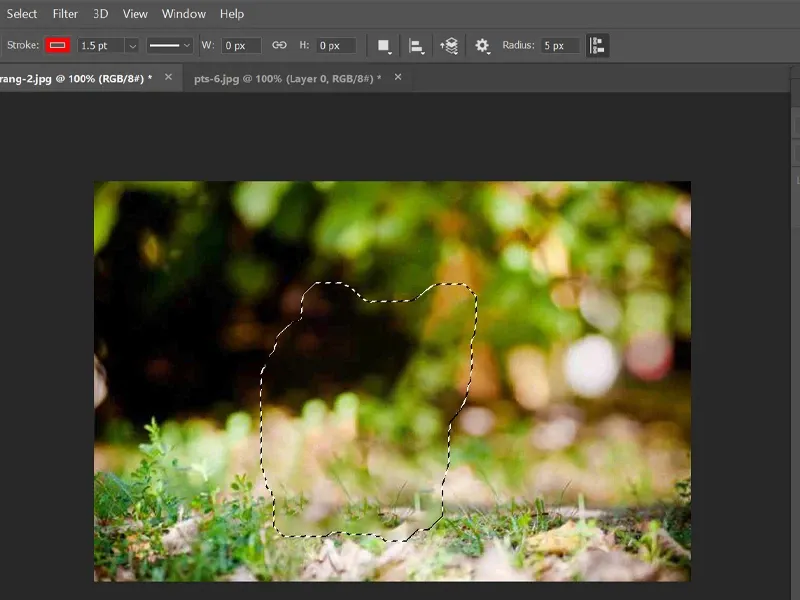 Hướng dẫn xóa vật thể trong Photoshop cực đơn giản