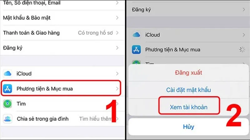 Khắc phục phương thức thanh toán MoMo bị từ chối AppStore