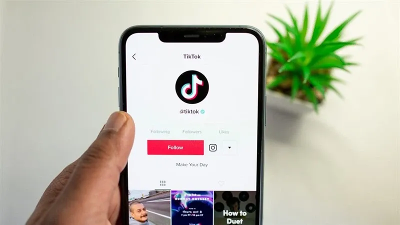 Khám phá tất cả về giới hạn follow trên TikTok: Những điều cần biết để bảo vệ tài khoản của bạn